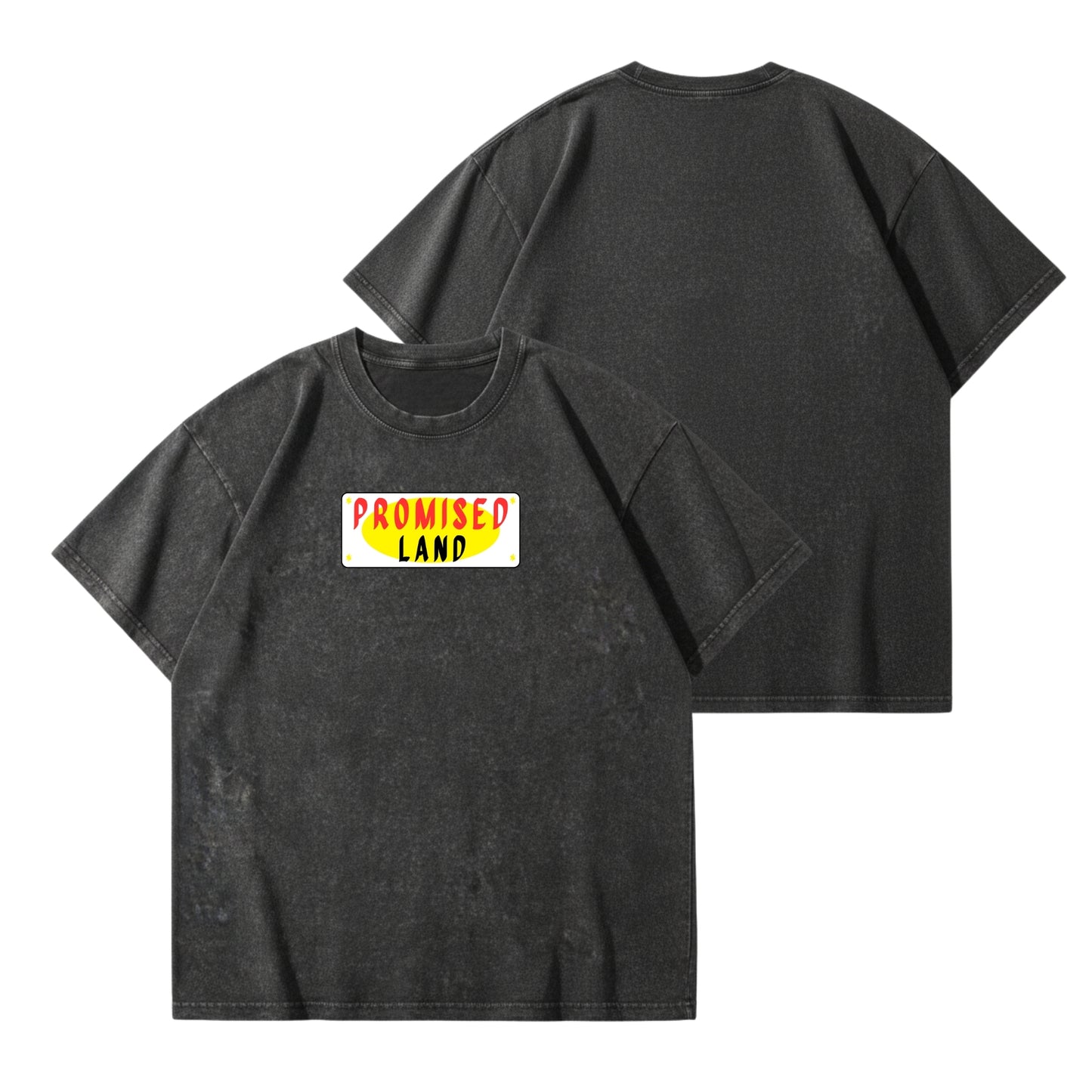 Promised Land – Vintage Washed T-Shirt